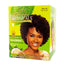 S&B® Botanicals™ No-Mix Texturizer 2-App, Regular
