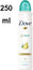 Dove Deo Spray 6/250 ml Pear & Aloe Scent